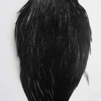 Premium cock neck cape dyed black grade 2
