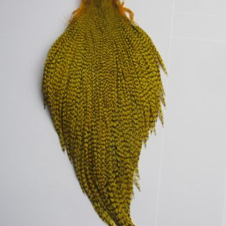 yellow grizzle cock neck cape grade 2