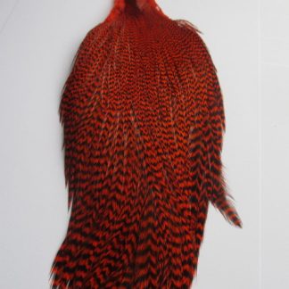 Premium orange grizzle cock neck cape grade 2