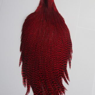 grizzle red cock cape metz