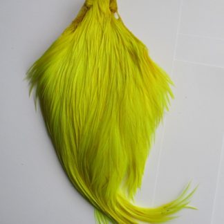 Fluorescent yellow cock neck cape grade 2
