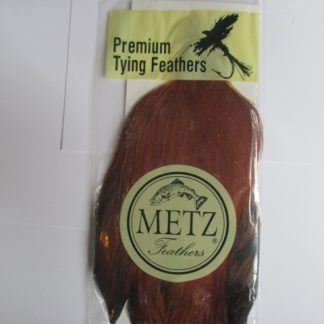 Metz brown neck cape grade 3