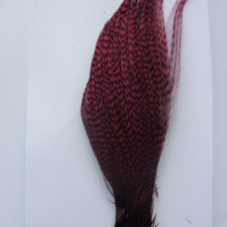 Metz dark claret grizzle quarter cock neck cape