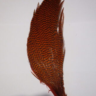 Metz orange grizzle half cock neck cape