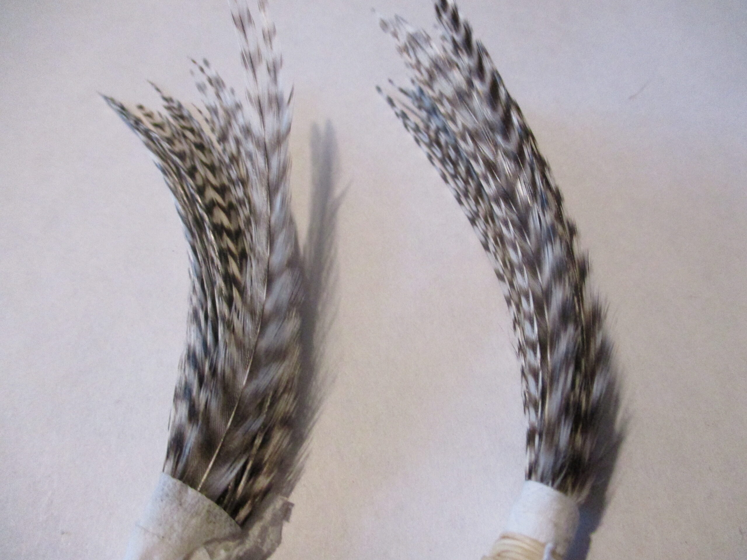 grizzly dry fly feathers hackle