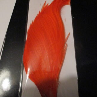 orange cock neck cape feathers