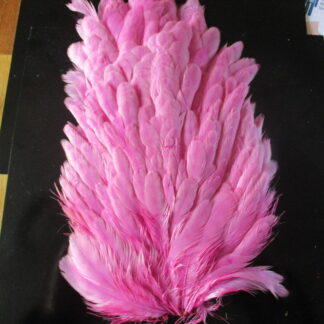 genetic hen saddle pink