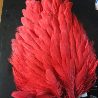 genetic hen saddle red
