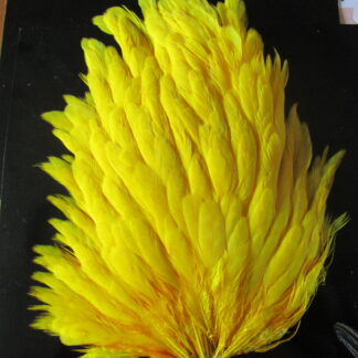 genetic hen saddle banana yellow