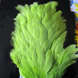 genetic hen saddles olive light green