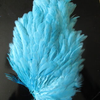 genetic hen saddle doctor blue