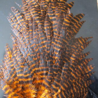 hen saddle grizzly orange