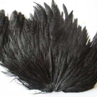genetic hen saddle black