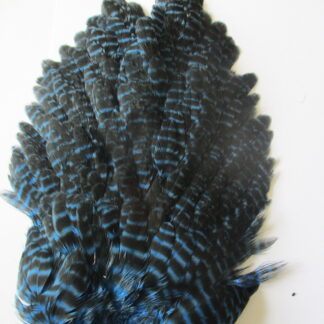hen saddle blue grizzle