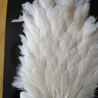 genetic hen saddle white