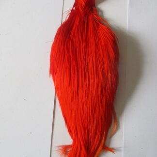 Premium orange cock neck cape genetic grade 2