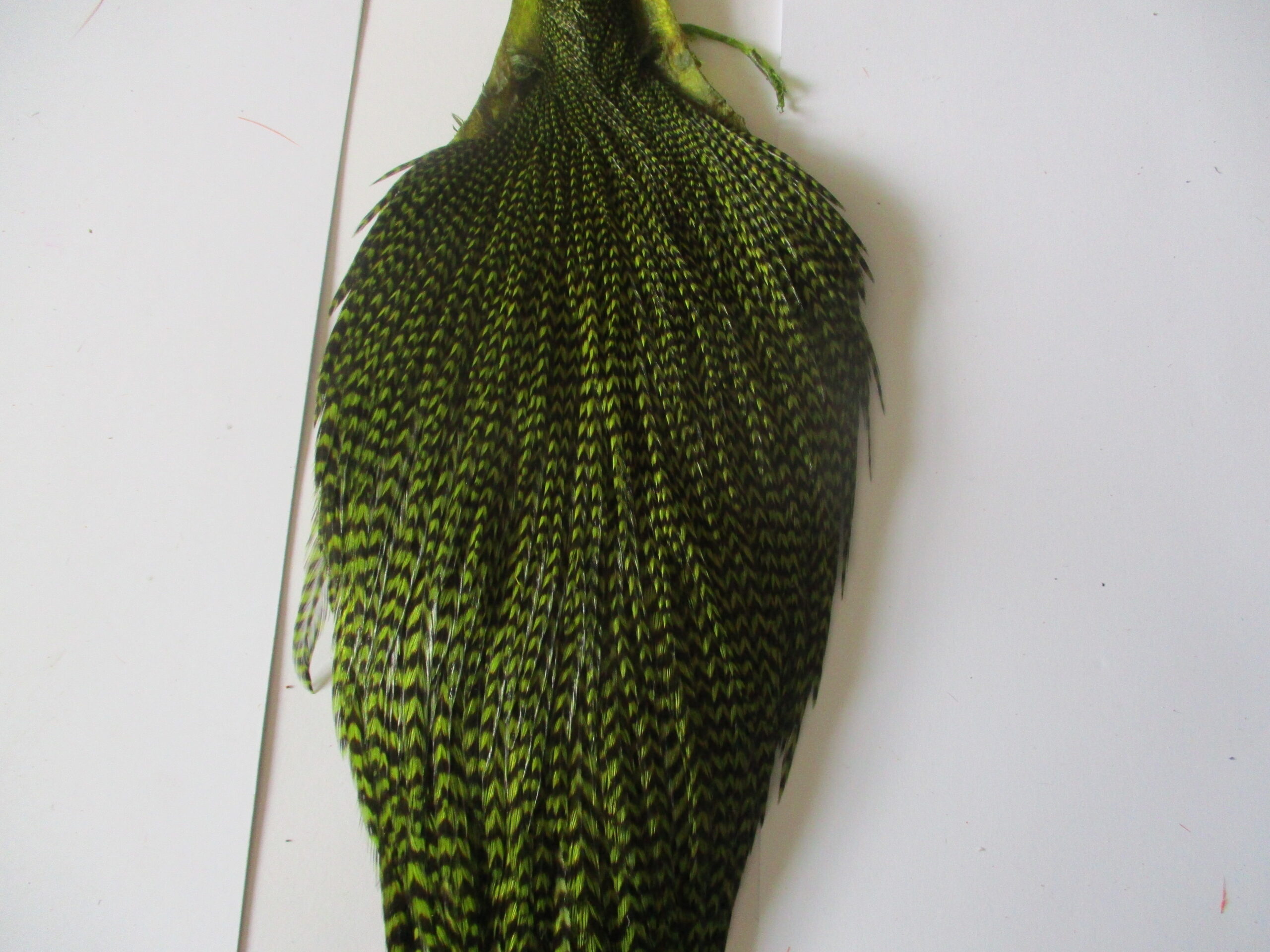 GENETIC HACKLE Cock Neck Feathers - Dyed Olive & Natural Grizzle For Fly Tying (Size 12-16s, Metz)