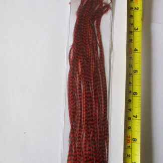Metz saddle hackle packs grizzly red grade 2