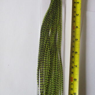 Metz saddle hackle packs grizzly green grade 2