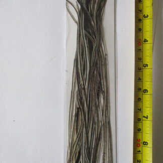 Metz saddle hackle packs silver badger grade 2