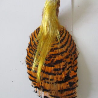 Golden pheasant complete head crest and tippet