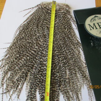 metz grizzle saddle grade 2 wider feathers