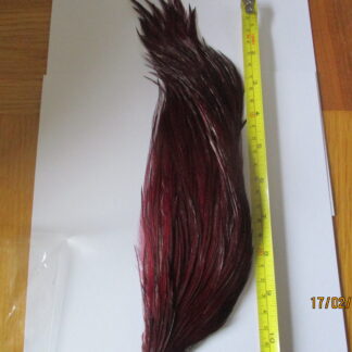 dark claret metz cock neck cape half