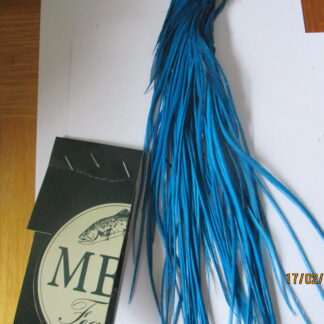 Kingfisher blue saddle grade 2 half