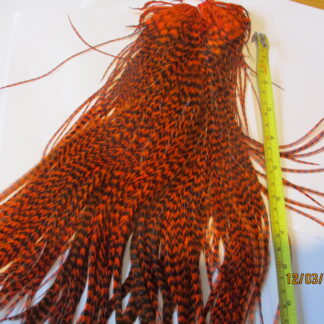 metz magnum grizzle orange