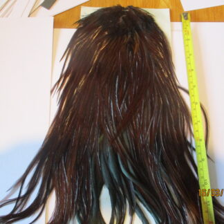 large genetic chocolate brown saddles tying 8s - 10s
