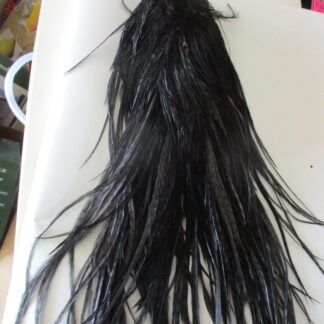black cock saddle cape metz